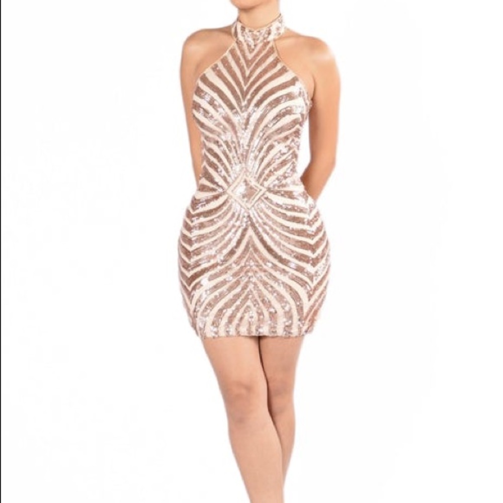Blush sequin dress